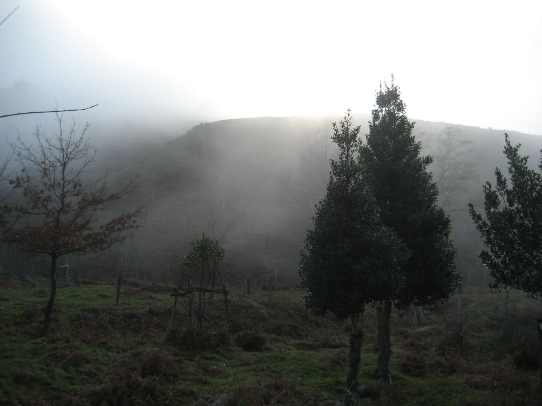 Cantabria amanece con bancos de niebla. Cantabria amanece con bancos de niebla.