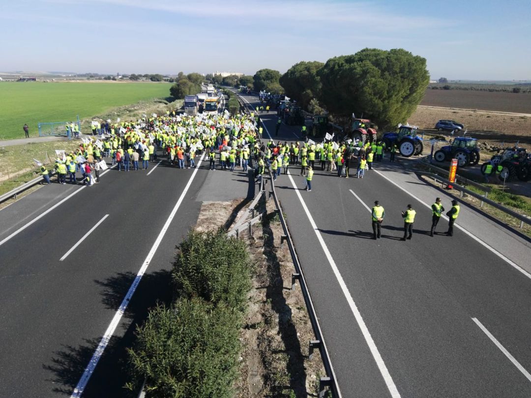 Concentración de los agricultores en la AP-4, a la altura de Lebrija, cortando la carretera Concentración de los agricultores en la AP-4, a la altura de Lebrija, cortando la carretera