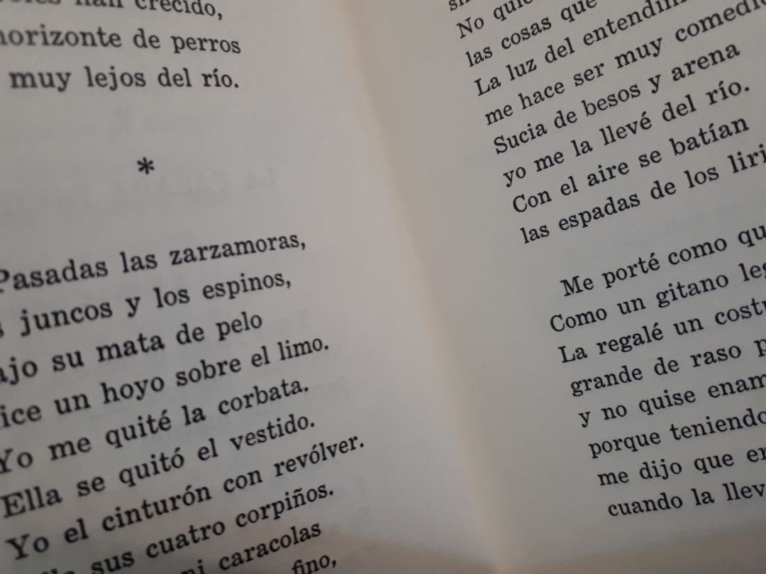 La poesía tendrá un importante papel en el festival del día 8 de marzo en el Teatro Coliseo de Eibar La poesía tendrá un importante papel en el festival del día 8 de marzo en el Teatro Coliseo de Eibar