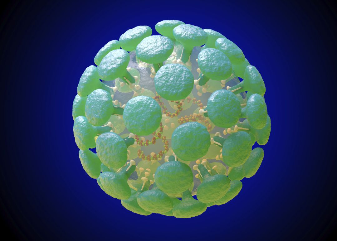 Coronavirus Coronavirus