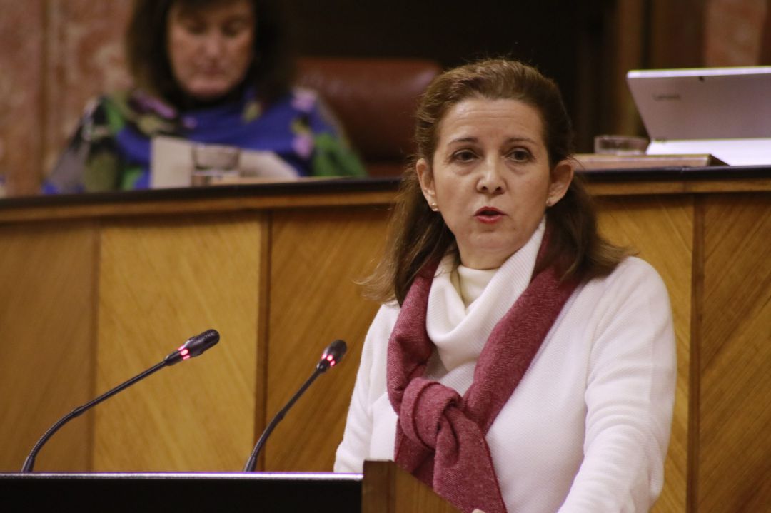 Maria José Piñero durante una intervención en el Parlamento de Andalucía Maria José Piñero durante una intervención en el Parlamento de Andalucía