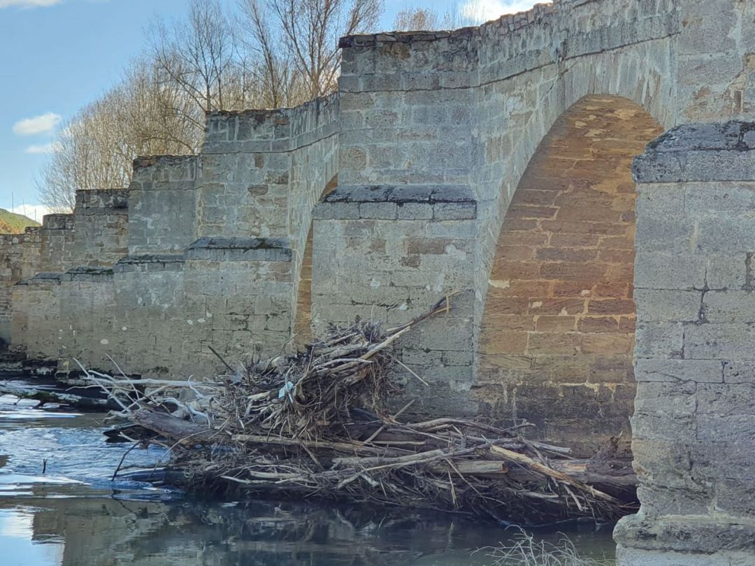 Puente sobre el río Esla en la localidad de Castrogonzalo Puente sobre el río Esla en la localidad de Castrogonzalo
