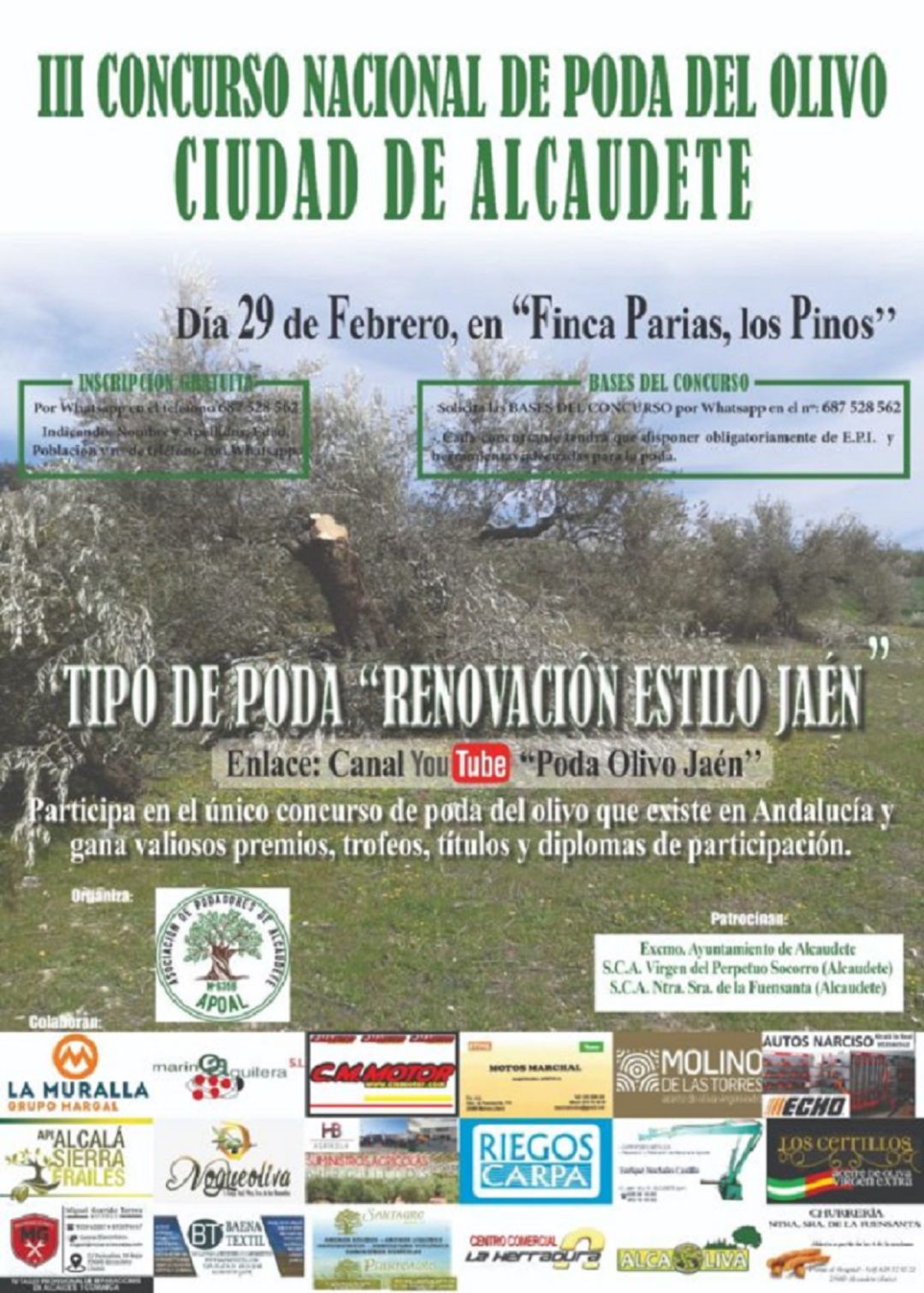 III Concurso de poda "Ciudad de Alcaudete" III Concurso de poda "Ciudad de Alcaudete"
