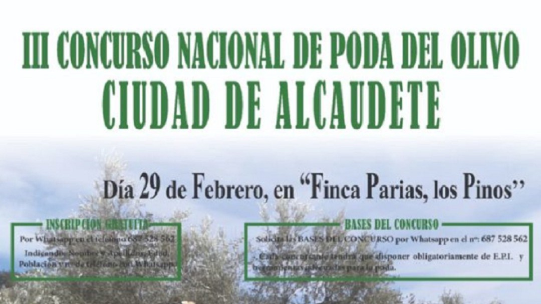 III concurso de poda del olivo "Ciudad de Alcaudete"