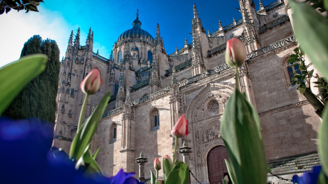 En marcha una nueva edición de 'Paseos por Salamanca'