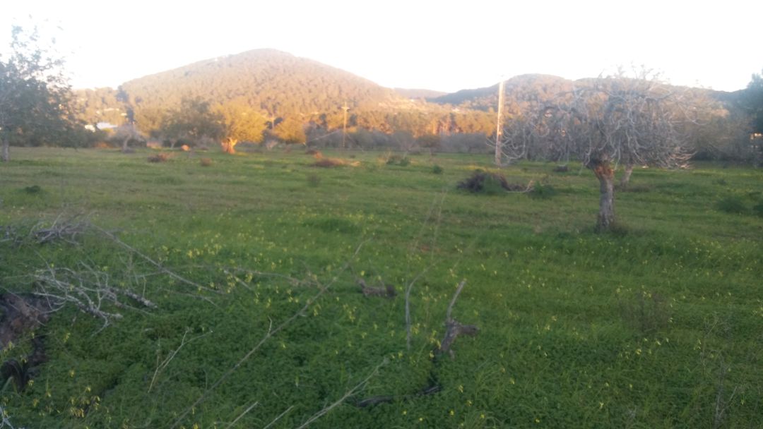 Este sábado se celebra el Día del Campo. Este sábado se celebra el Día del Campo.