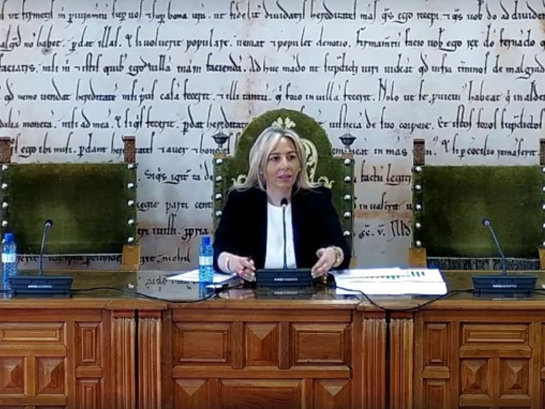 La concejala de Hacienda, Patricia Martín La concejala de Hacienda, Patricia Martín