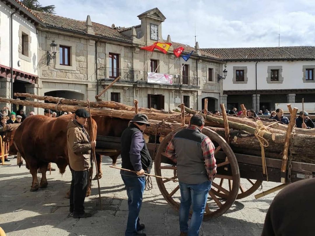 Actividad dentro de la fiesta de los gabarreros de El Espinar Actividad dentro de la fiesta de los gabarreros de El Espinar