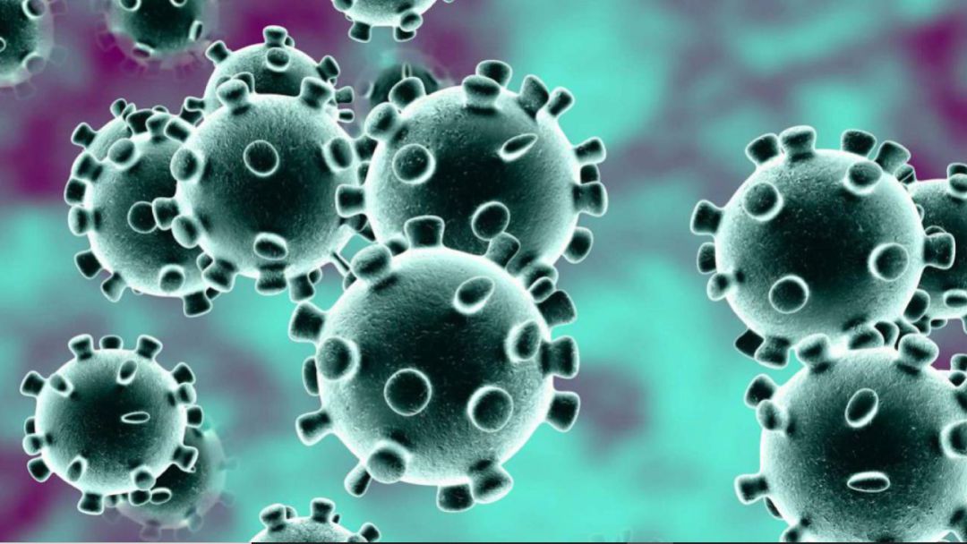 Coronavirus Coronavirus