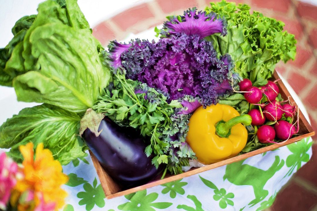 los vegetales, aliados de nuestra salud los vegetales, aliados de nuestra salud
