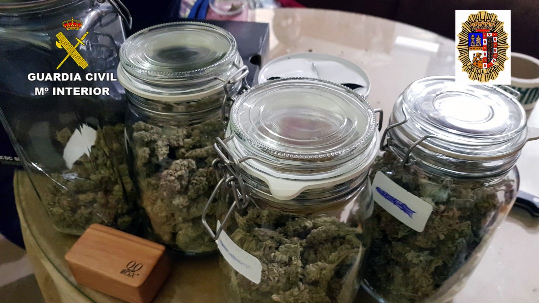Un detenido en Jumilla por cultivar y vender marihuana