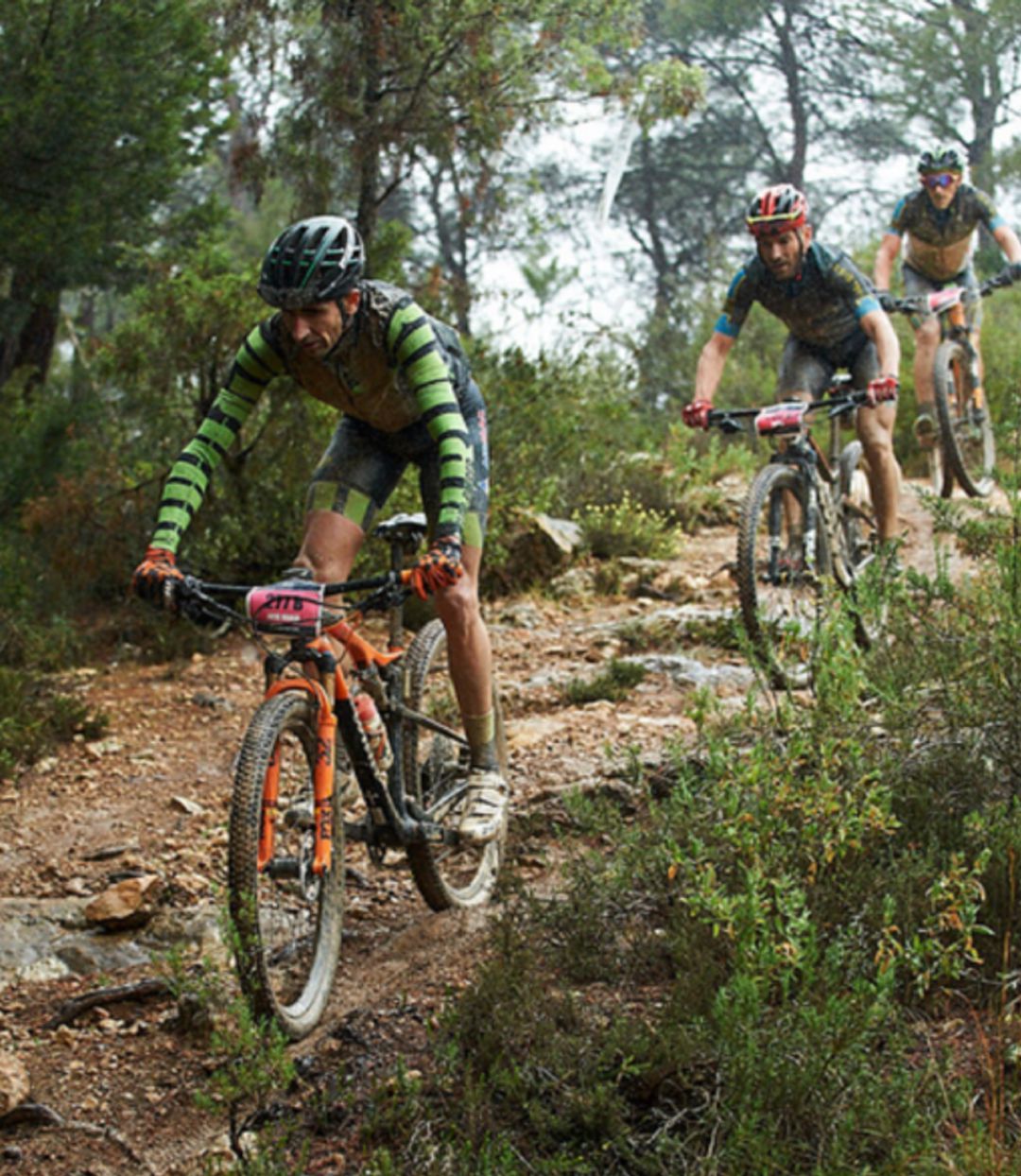 Imagen de la pasada edición de la Vuelta. Imagen de la pasada edición de la Vuelta.