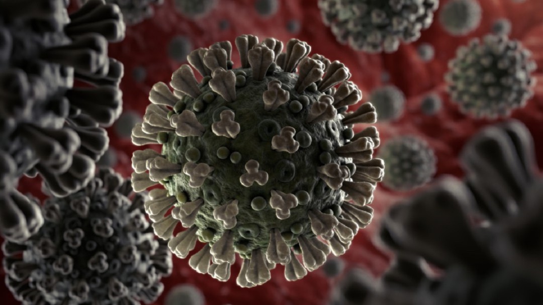 La Rioja registra 278 casos de coronavirus, tres fallecidos y 38 ingresos