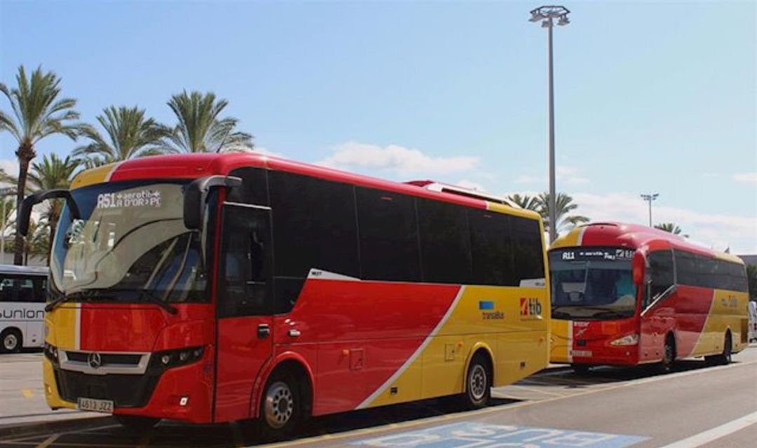 Autobuses del TIB en el aeropuerto Autobuses del TIB en el aeropuerto
