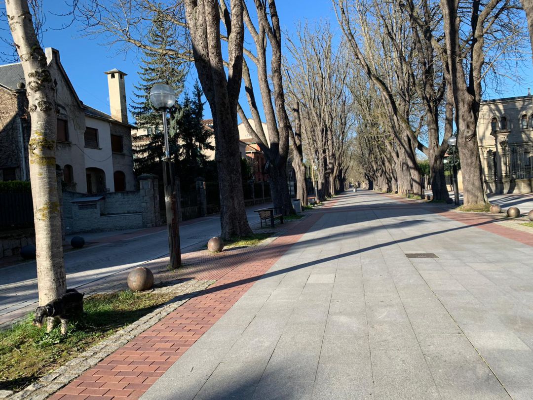 Vitoria ha amanecido desierta y con apenas gente por la calle Vitoria ha amanecido desierta y con apenas gente por la calle
