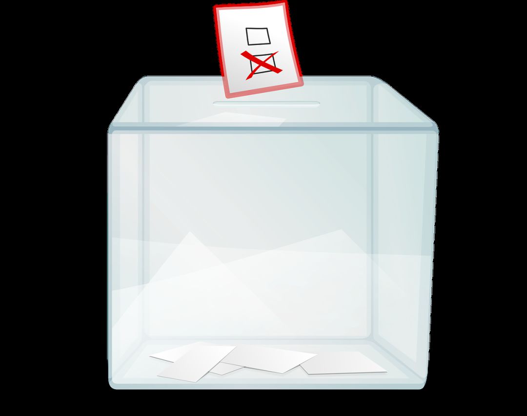 Suspendidas las elecciones a las Federaciones Deportivas de Navarra Suspendidas las elecciones a las Federaciones Deportivas de Navarra