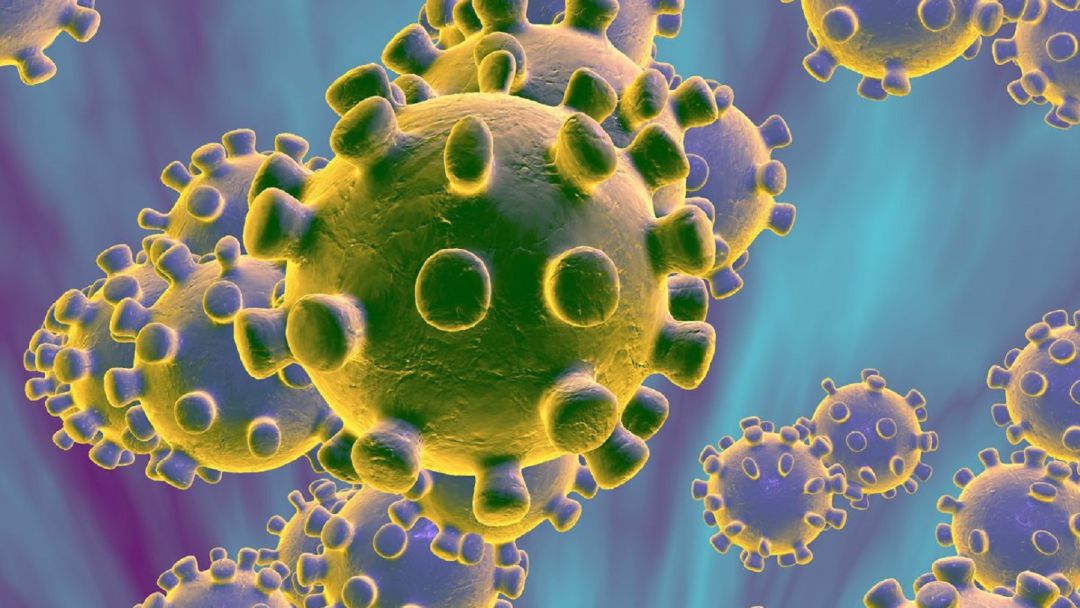 Coronavirus Coronavirus