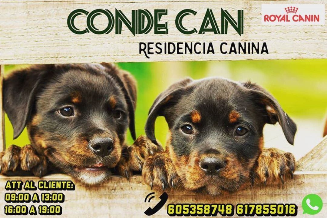 La residencia canina Conde Can de Madridejos que ha puesto a disposición de las personas que trabajan en los hospitales de la zona La residencia canina Conde Can de Madridejos que ha puesto a disposición de las personas que trabajan en los hospitales de la zona