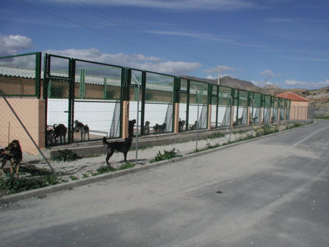 Albergue de animales del Vinalopó Albergue de animales del Vinalopó