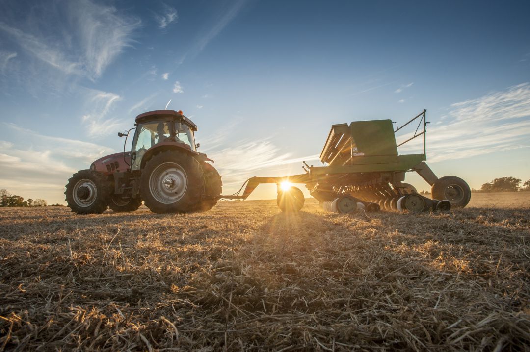 Agricultores y ganaderos se reivindican como sector clave en el marco de la crisis del coronavirus Agricultores y ganaderos se reivindican como sector clave en el marco de la crisis del coronavirus