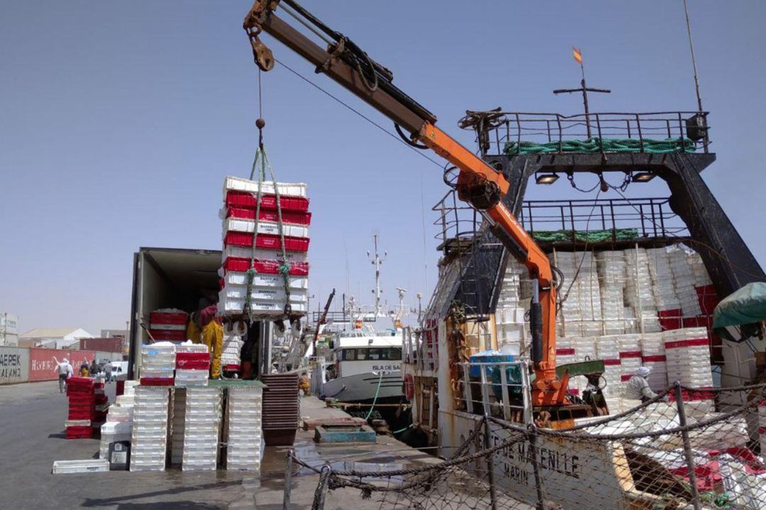Actividad del Puerto de Marín Actividad del Puerto de Marín