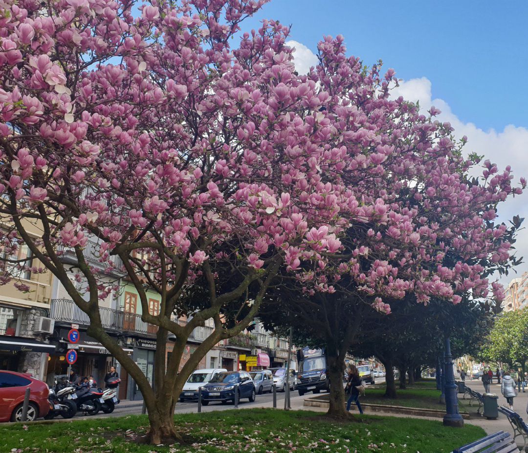 La primavera llega a España con predicción de más calor del normal. La primavera llega a España con predicción de más calor del normal.
