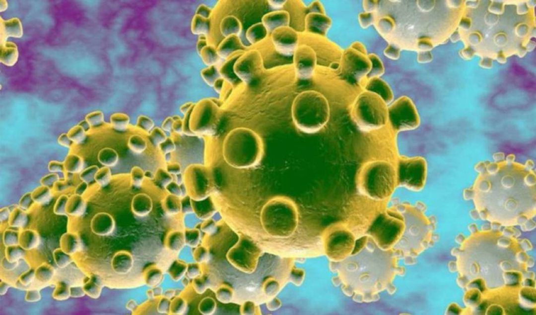 Imagen del coronavirus Imagen del coronavirus