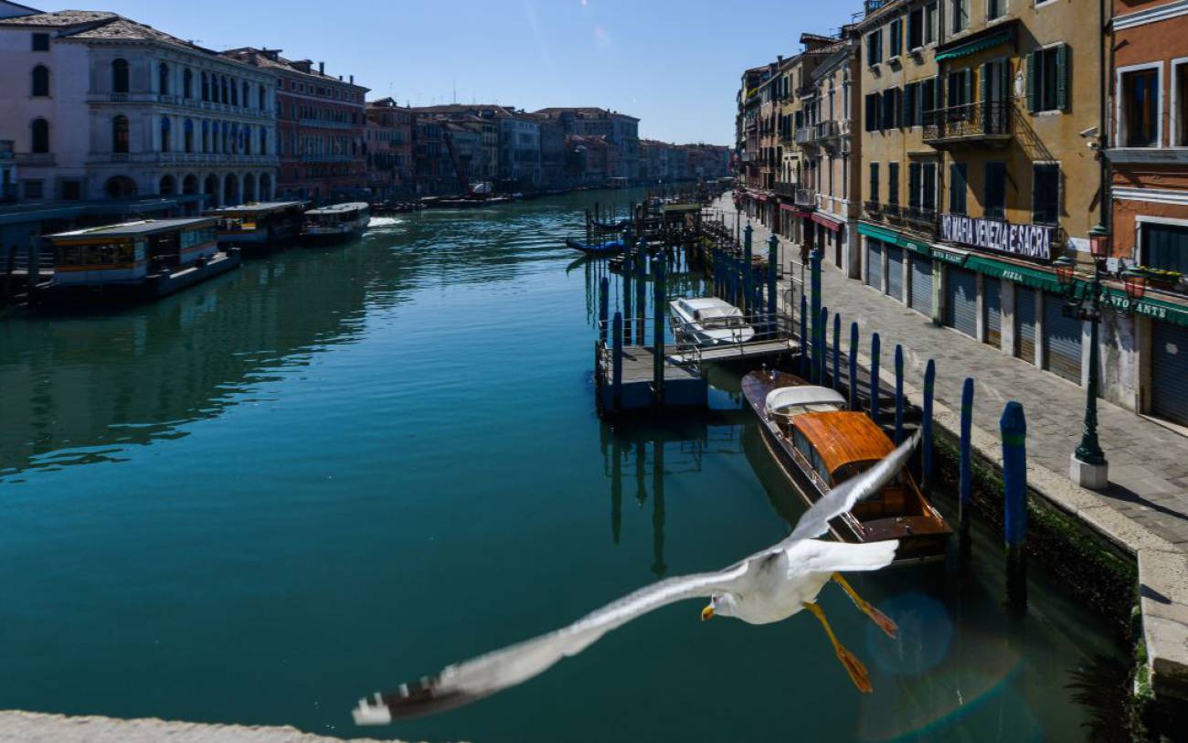 La Naturaleza Se Abre Paso Por El Mundo Tras El Confinamiento Por