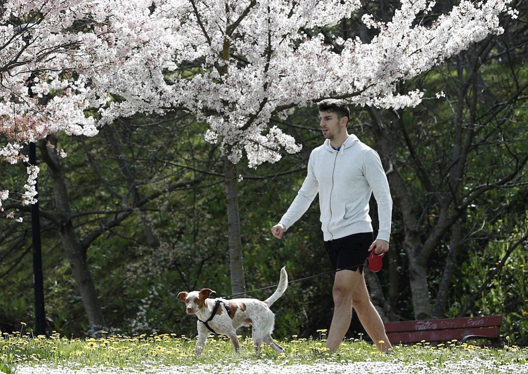 Sacar a pasear al perro es una de las actividades permitidas Sacar a pasear al perro es una de las actividades permitidas