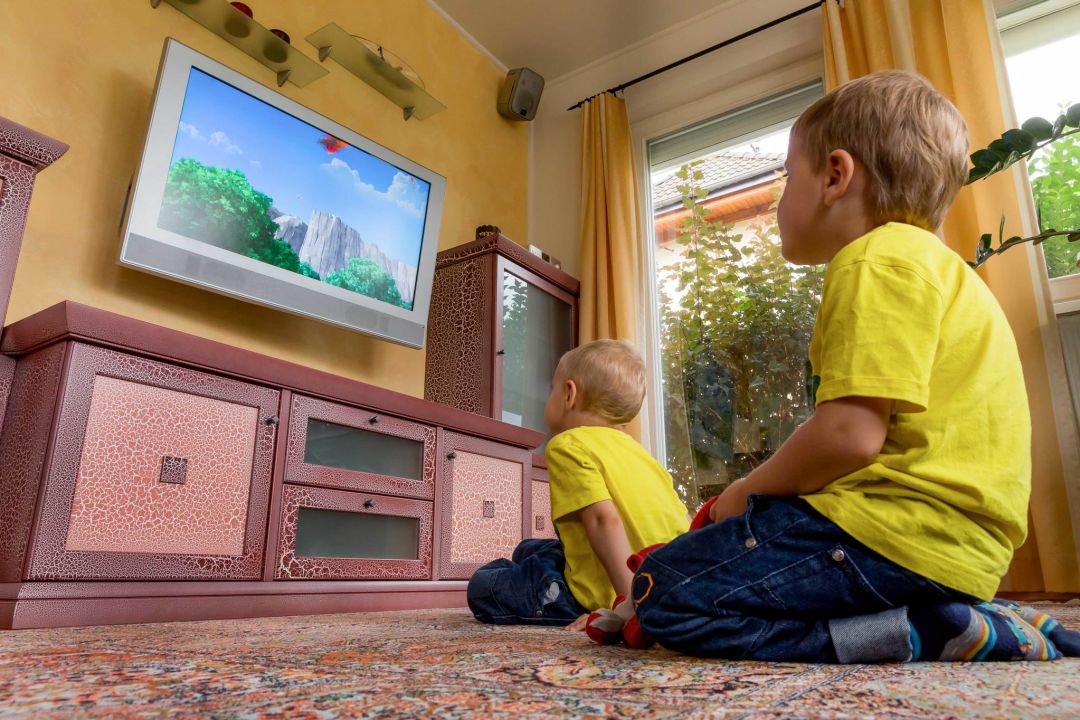 Los vascos vieron ayer hora y media más de televisión que la media de marzo de 2019 Los vascos vieron ayer hora y media más de televisión que la media de marzo de 2019