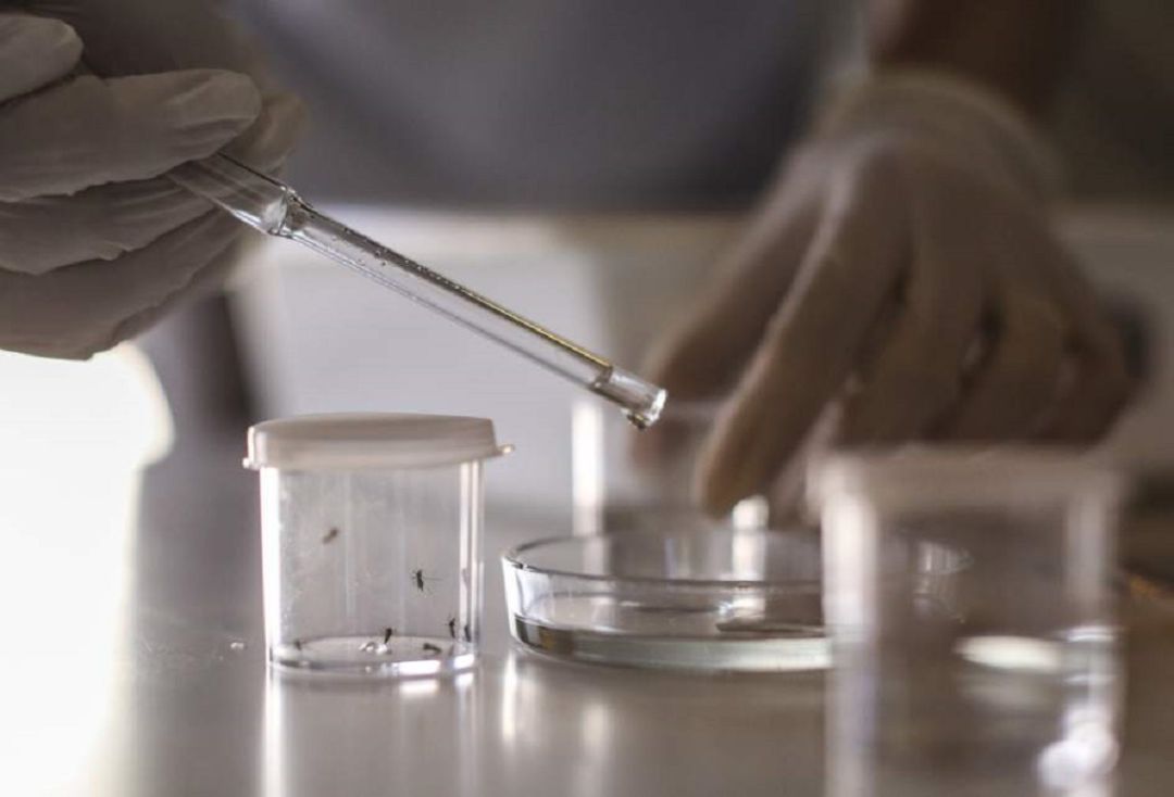 Los test que se realizan habitualmente ante el constante aumento de casos, "no son del todo fiables"., según señalaba en la entrevista Murga. Por ello, el Gobierno vasco está recabando la información precisa para conocer la disponibilidad de recursos humanos y técnicos para adelantar, en su caso y en red, un protocolo general para la detección del Covid 19. Los test que se realizan habitualmente ante el constante aumento de casos, "no son del todo fiables"., según señalaba en la entrevista Murga. Por ello, el Gobierno vasco está recabando la información precisa para conocer la disponibilidad de recursos humanos y técnicos para adelantar, en su caso y en red, un protocolo general para la detección del Covid 19.