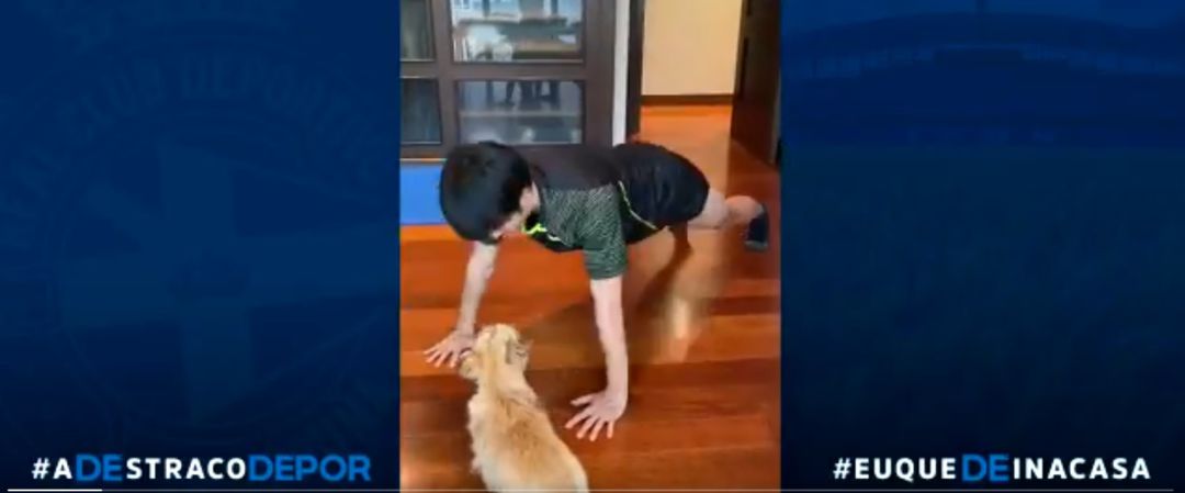 Gaku Shibasaki se ejercita ante la mirada de su perro Gaku Shibasaki se ejercita ante la mirada de su perro