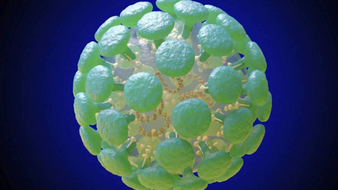 Coronavirus Coronavirus