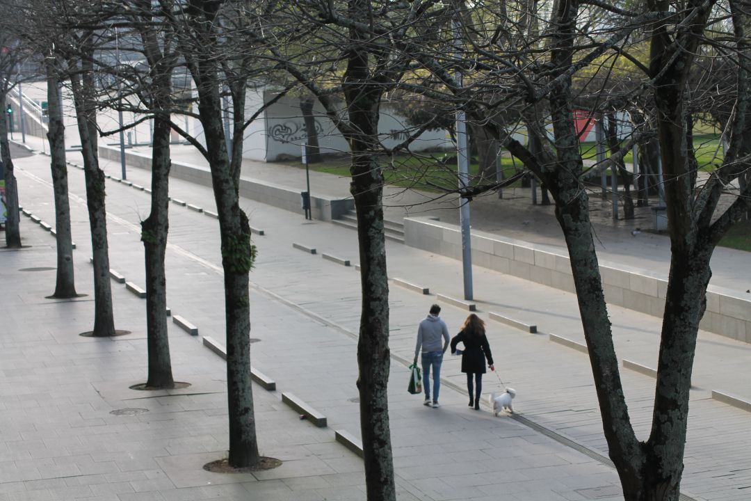 Una pareja caminando por la Avenida Montero Ríos de Vigo, ella paseando a un perro y él con una bolsa de la compra. Una pareja caminando por la Avenida Montero Ríos de Vigo, ella paseando a un perro y él con una bolsa de la compra.