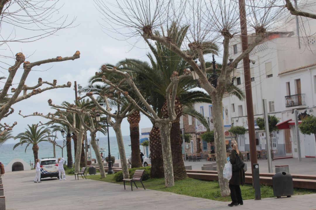 Una imagen del Paseo de s'Alamera Una imagen del Paseo de s'Alamera