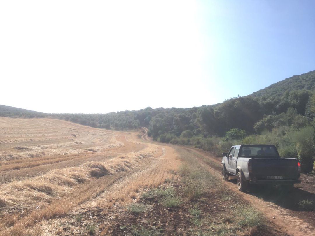 Acceso a una explotación de la comarca Acceso a una explotación de la comarca