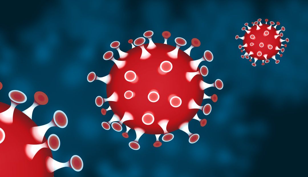 El virus segueix expandint-se, poc a cpoc, per Menorca El virus segueix expandint-se, poc a cpoc, per Menorca
