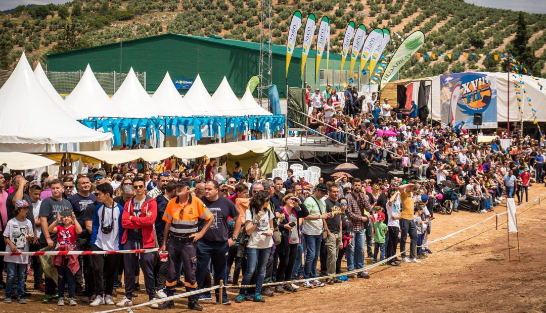 Público asistente a una de las pruebas del Festival Internacional del Aire. Público asistente a una de las pruebas del Festival Internacional del Aire.