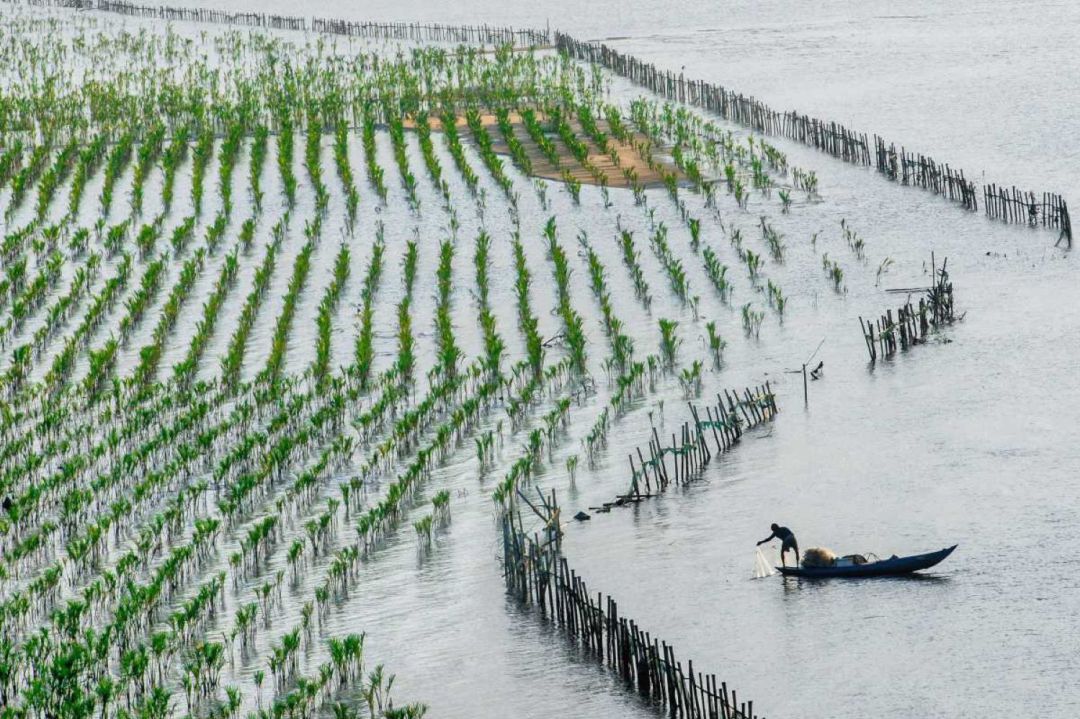 Aquesta zona del Vietnam entra a formar part de les reserves de biosfera. Aquesta zona del Vietnam entra a formar part de les reserves de biosfera.