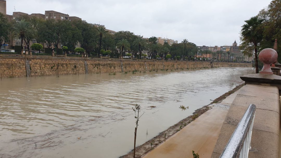 El río Segura a su paso por Murcia El río Segura a su paso por Murcia