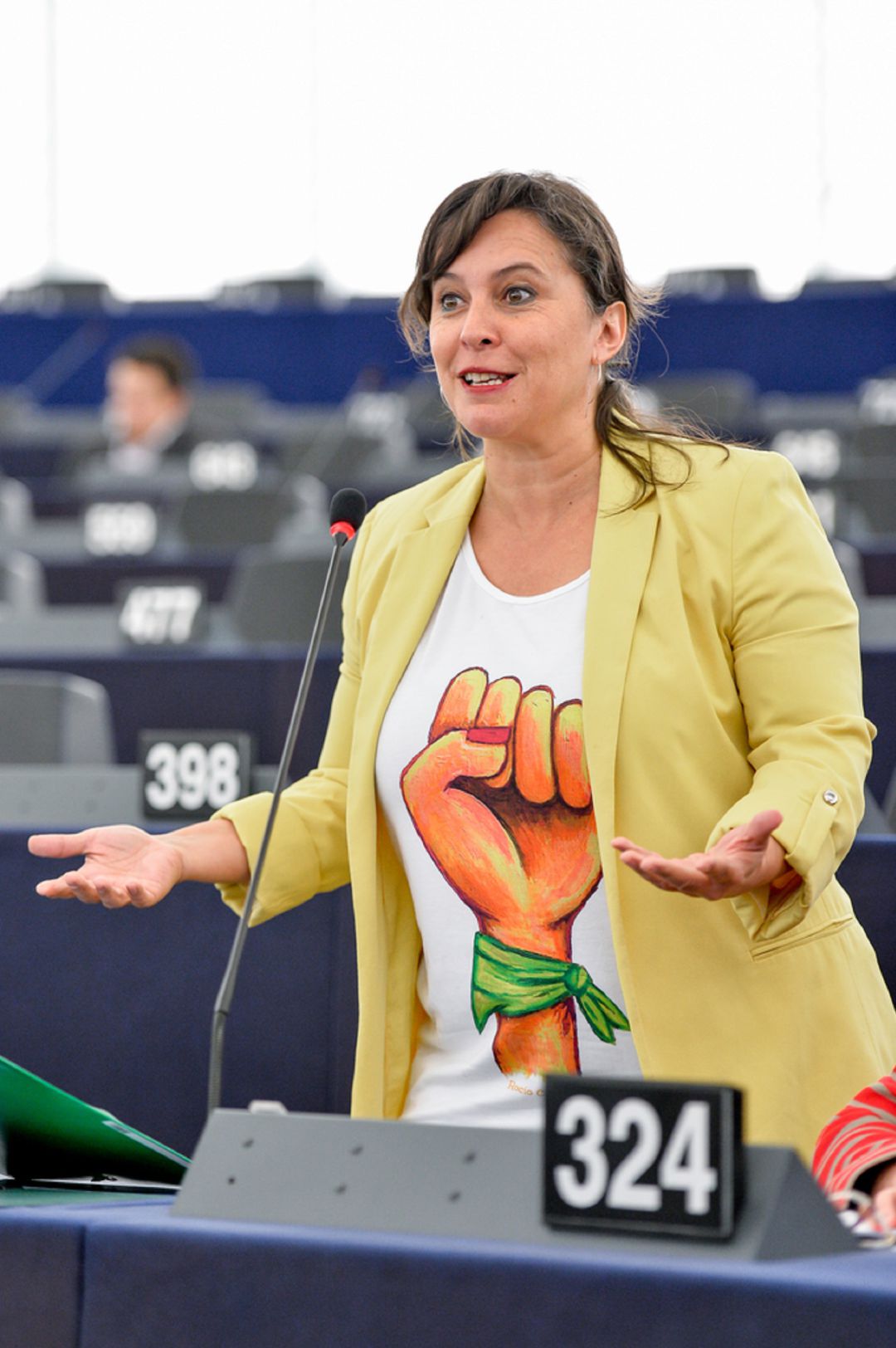 Ana Miranda en el Parlamento Europeo Ana Miranda en el Parlamento Europeo