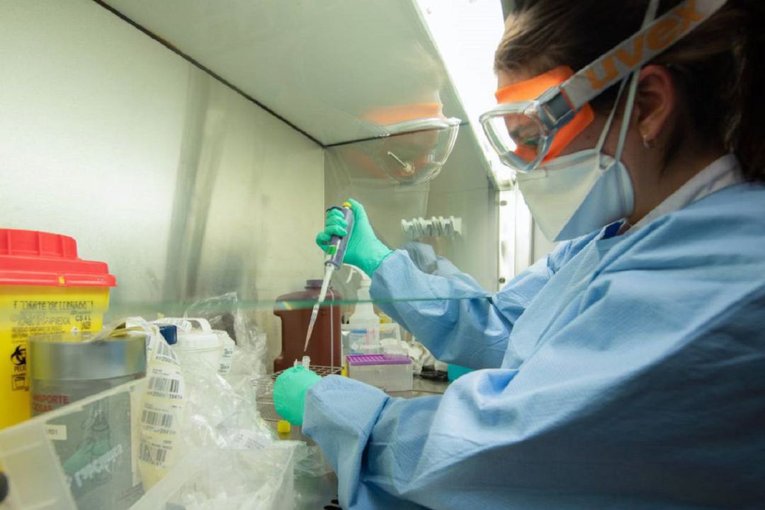 Un laboratori espanyol analitza mostres per detectar el coronavirus. Un laboratori espanyol analitza mostres per detectar el coronavirus.