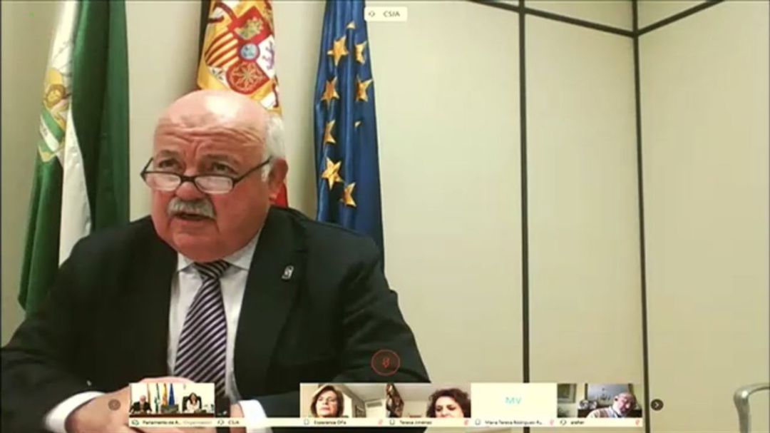 El consejero de Salud, Jesús Aguirre, durante la comparecencia telemática ante la Diputación Permanente del Parlamento Andaluz El consejero de Salud, Jesús Aguirre, durante la comparecencia telemática ante la Diputación Permanente del Parlamento Andaluz