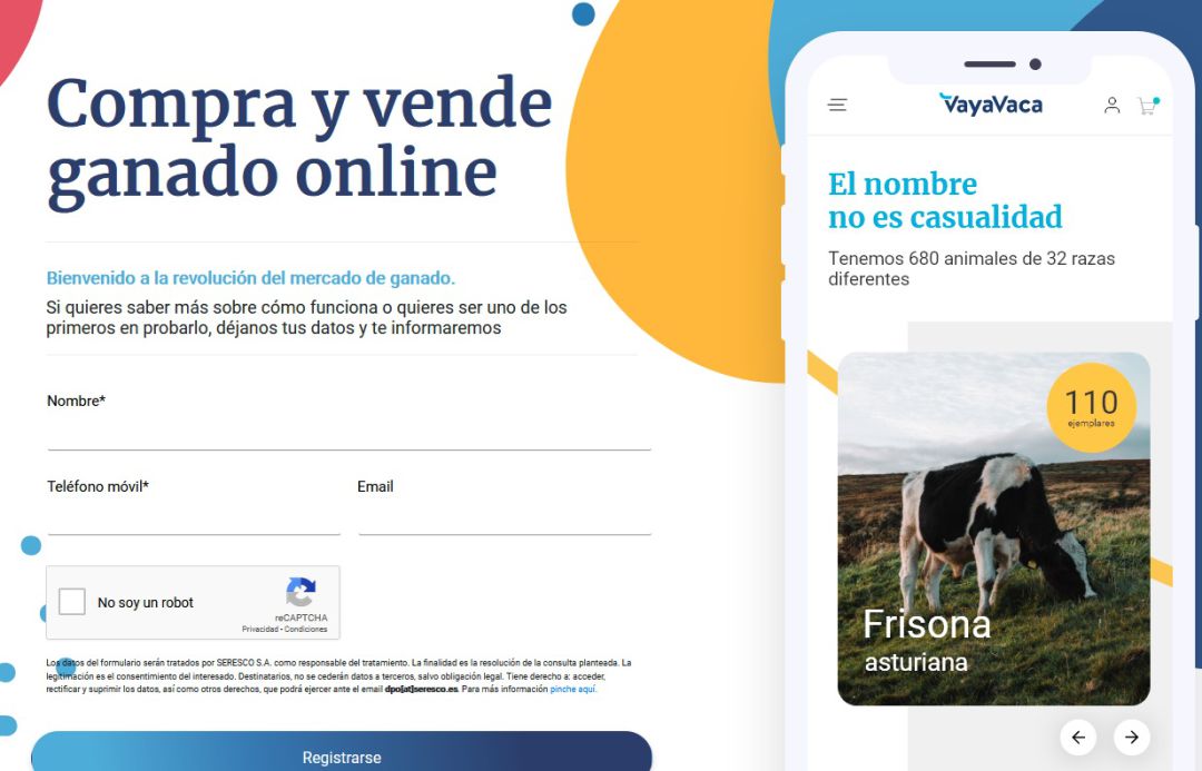 Portada de la web. Portada de la web.