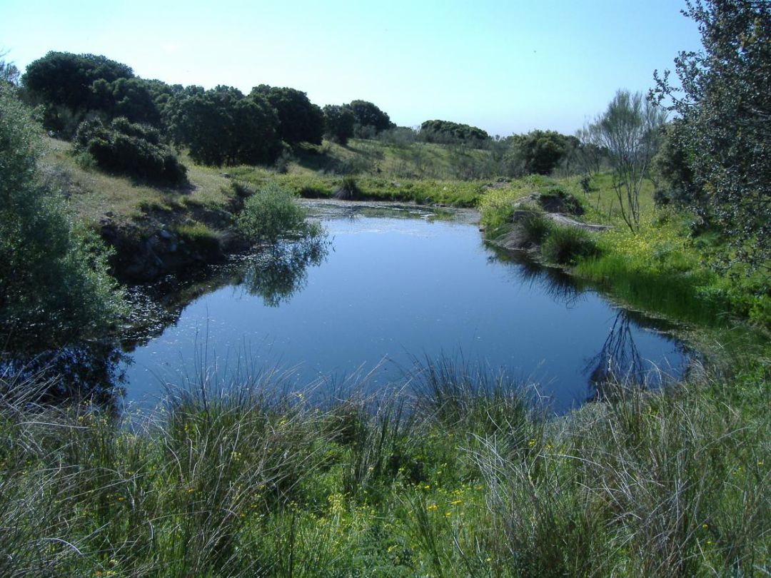Entorno del Parque Regional del Río Guadarrama Entorno del Parque Regional del Río Guadarrama