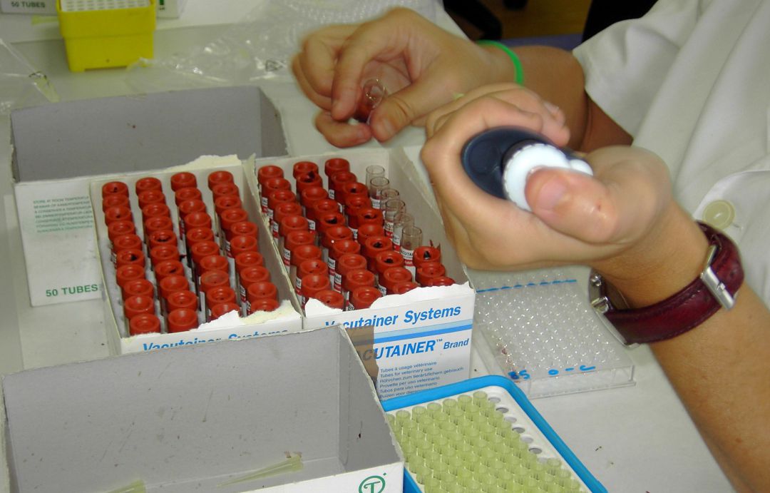 La Consejería de Agricultura ofrece centros Ifapa y laboratorios para combatir el coronavirus. La Consejería de Agricultura ofrece centros Ifapa y laboratorios para combatir el coronavirus.