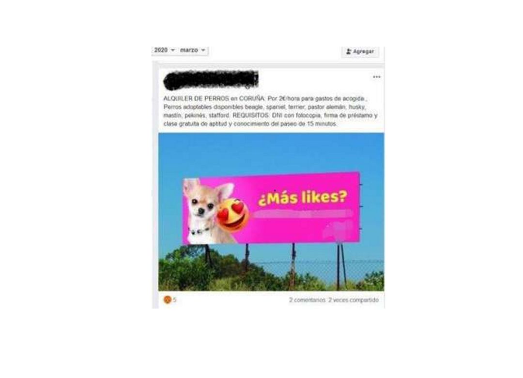 Denunciado por alquilar perros para pasear en el estado de alarma. Denunciado por alquilar perros para pasear en el estado de alarma.