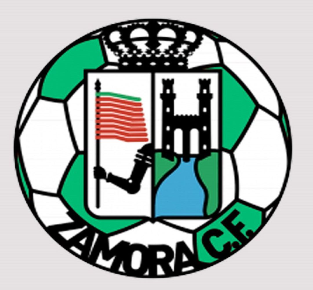 Escudo con los colores verdes Escudo con los colores verdes
