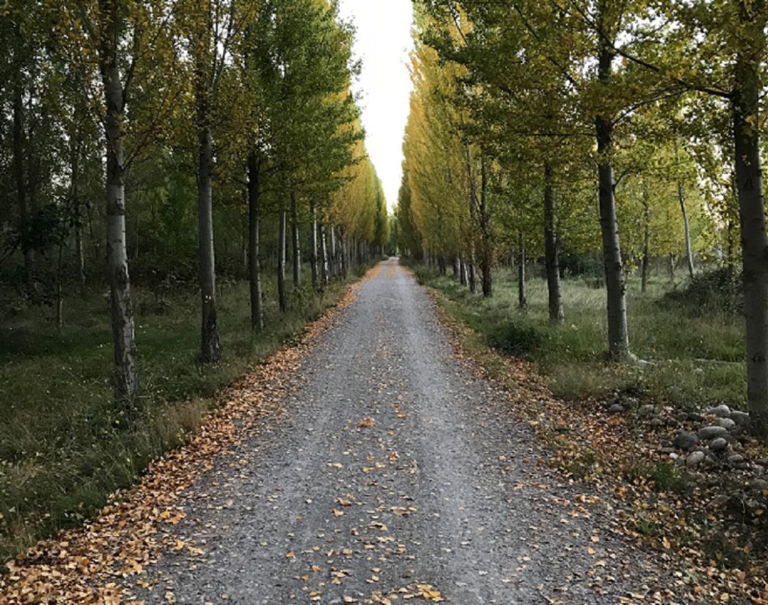 Paseo por el Iregua Paseo por el Iregua