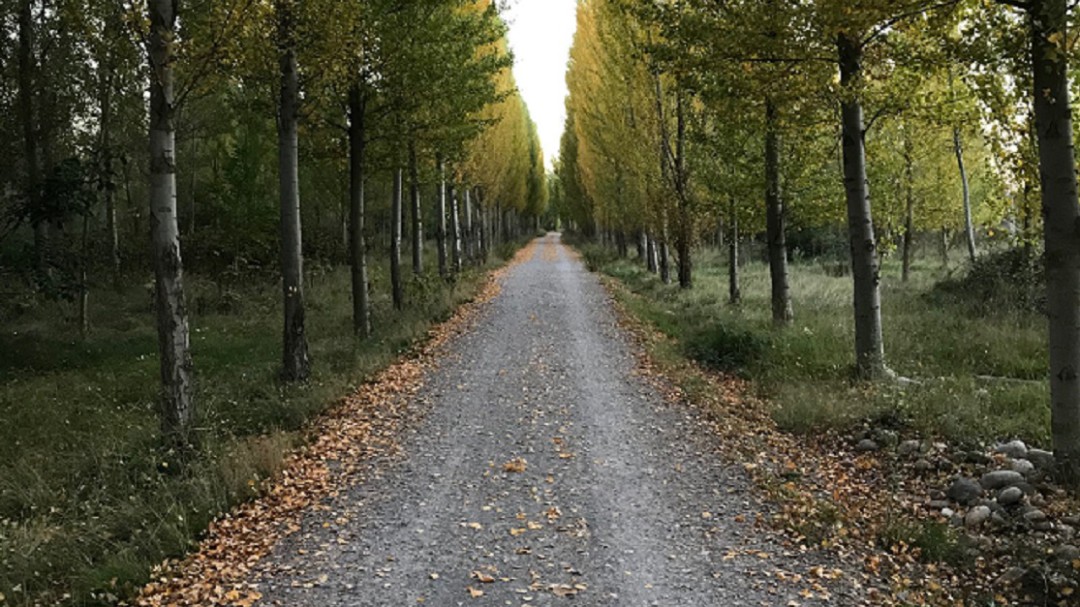 Pasea con la SER: 'De Valgañón al Espolón para celebrar la primavera'